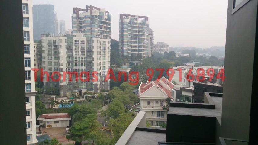 Fifteen Robin (D10), Condominium #88390632